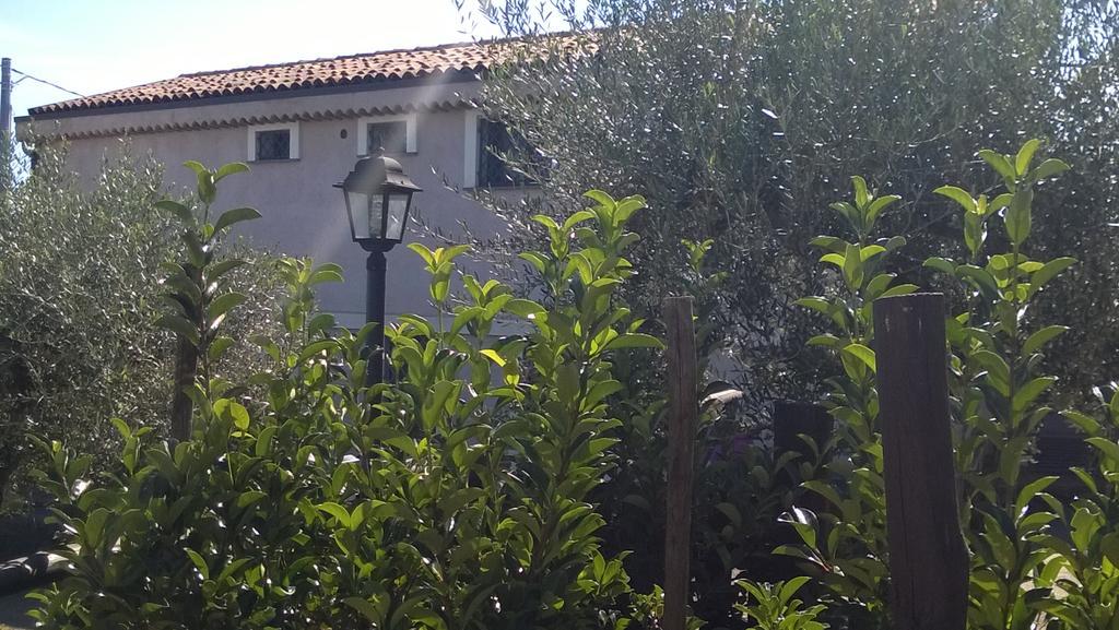 Seacily Etna House Villa Piedimonte Etneo Kültér fotó