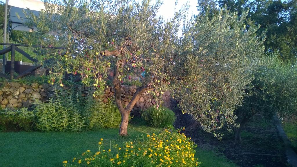 Seacily Etna House Villa Piedimonte Etneo Szoba fotó