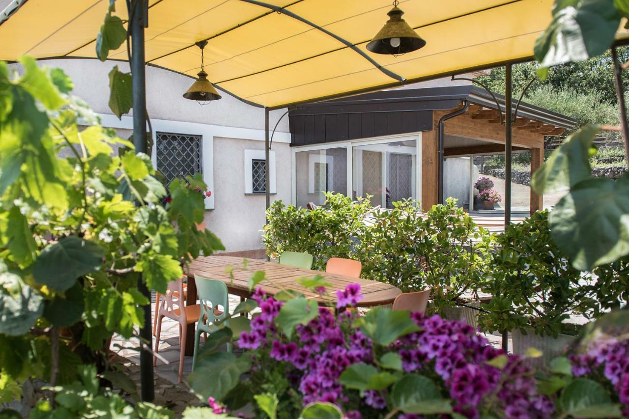 Seacily Etna House Villa Piedimonte Etneo Kültér fotó